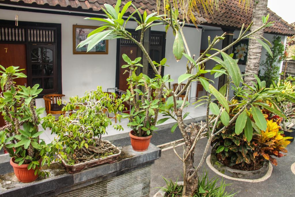 Nyoman Guesthouse Canggu Экстерьер фото